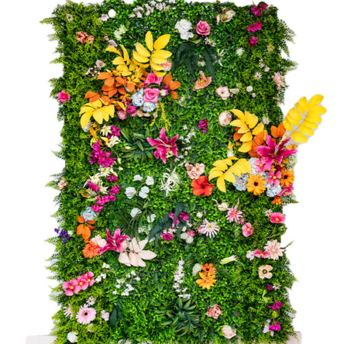 Greenwall tropical